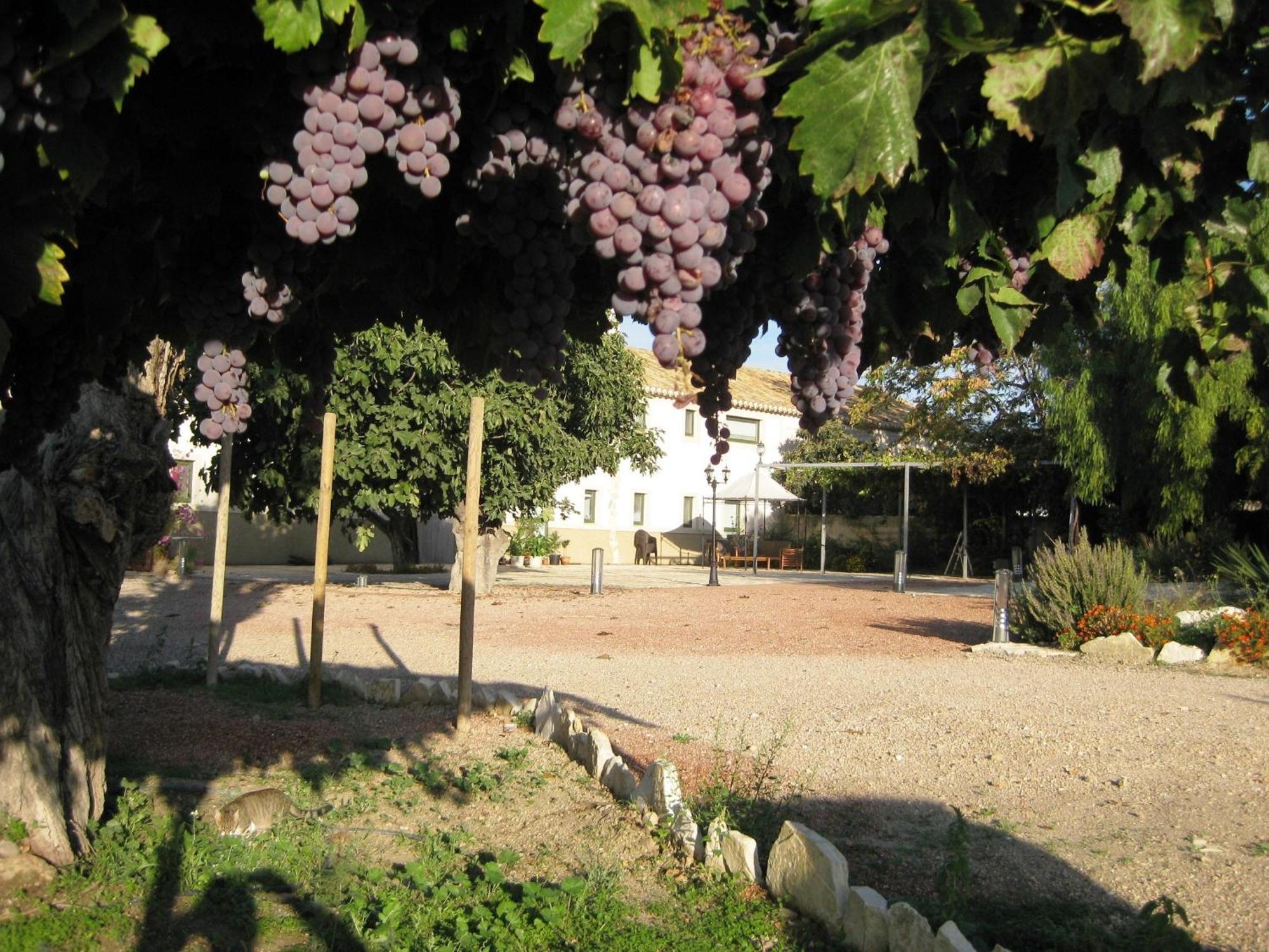 Jardines De Casablanca Hotel Caravaca De La Cruz Exterior photo