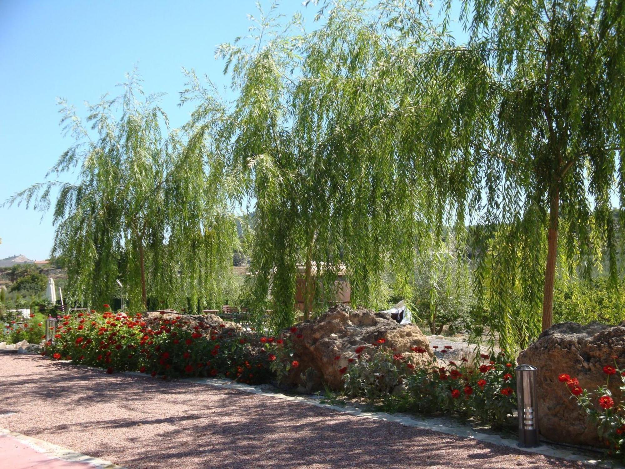 Jardines De Casablanca Hotel Caravaca De La Cruz Exterior photo